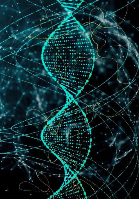 nona-scientific-molecular-what-PCR